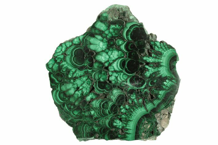 Polished Malachite Slab - DR Congo #264841